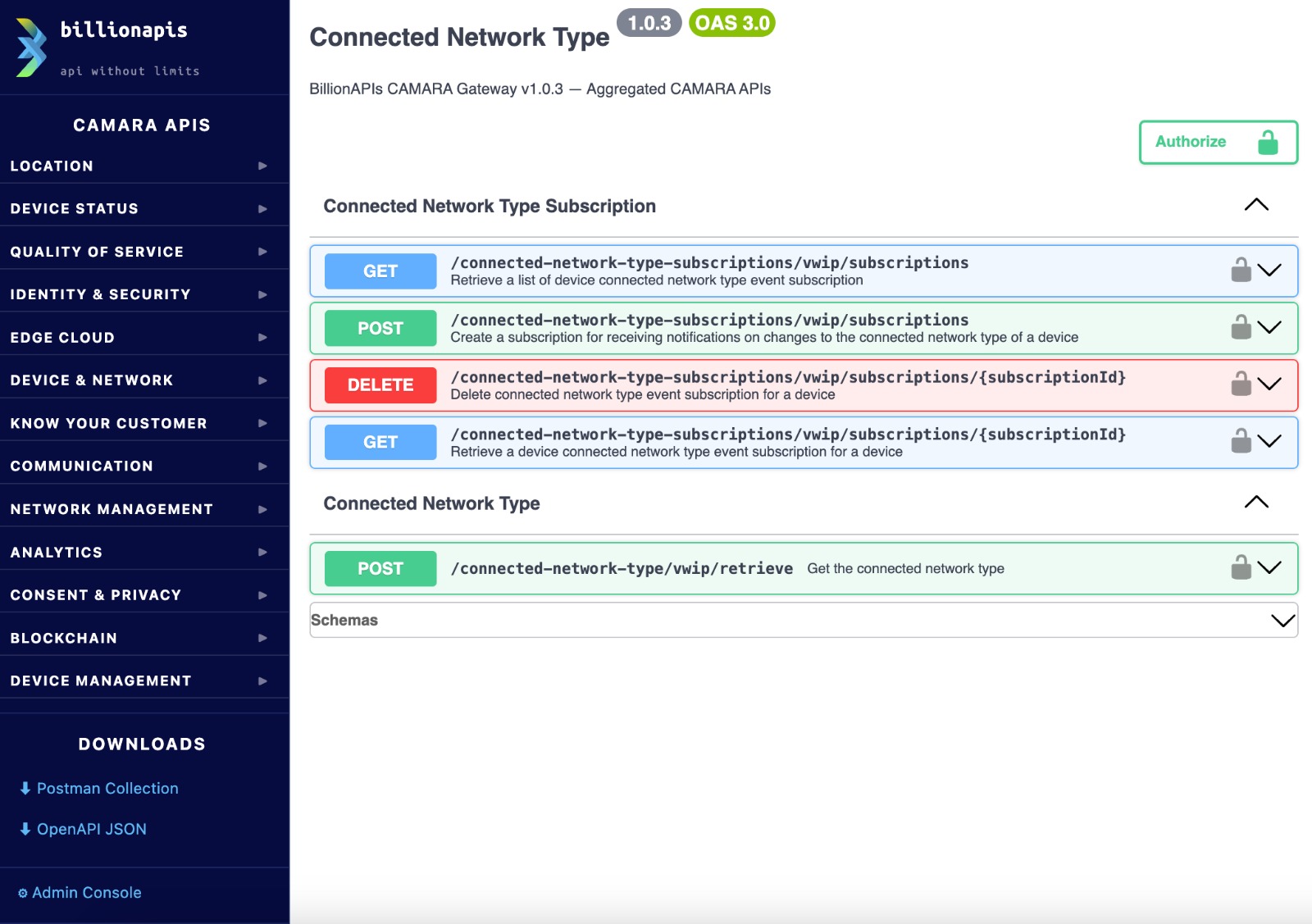 BillionAPIs CAMARA Gateway API explorer, showing Connected Network Type endpoints